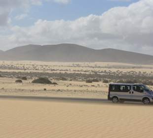 Antonios Bus in den Dünen