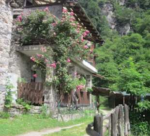 Das wunderschöne Grotto Dangri