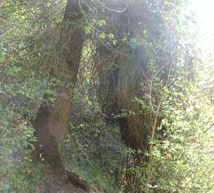 Abwechslungsreiche Wegführung