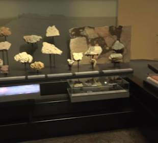 Museum für Naturkunde
