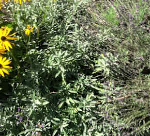 Klosterkirche Maria Gnadenzell