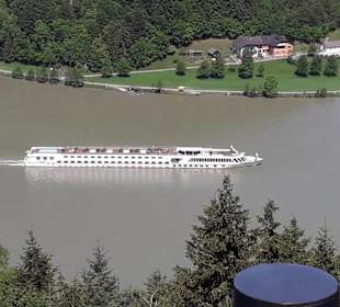 Blick vom Ausssichtspunkt auf die Donauschlinge.