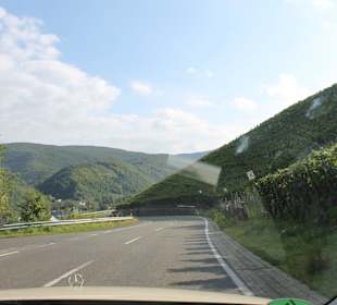 Auf dem Weg nach Dernau