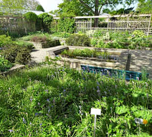 Spaziergang durch den Berggarten Hannover