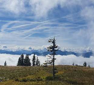 Wandern Hochkönig