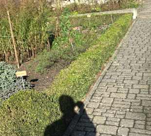 Klostergarten - Garten der Pilger Oberelchingen