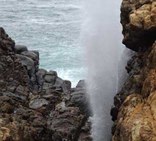  Blowhole  at Hummane