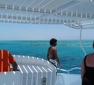 Joseph beobachtet die Tiere