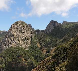Berge und Nebelwald