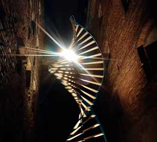 Skyway Bella Festival