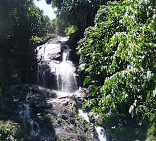 Ausflug Safari-Tour (Wasserfall)