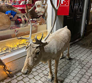 Tromso Stadtrundgang