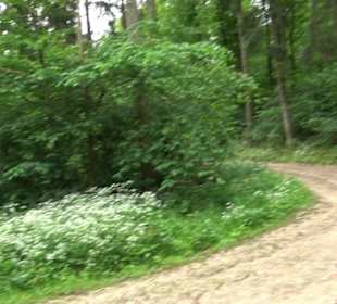 Burg Tiefental Aichstetten