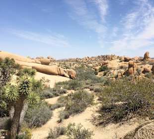 Joshua Tree National Park
