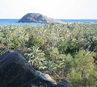 Snoopy Island Emirat Fujeirah