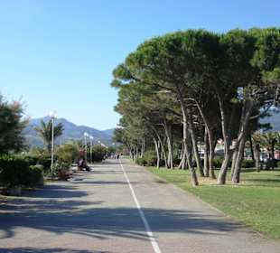 Impressionen von der Strandpromenade Argelès-Plage