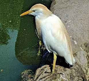 Noch etwas ängstlich?