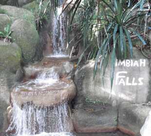 Am Nature Walk