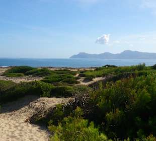 Wandern Can Picafort