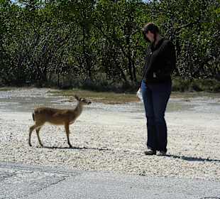 Wer ist da neugierig?