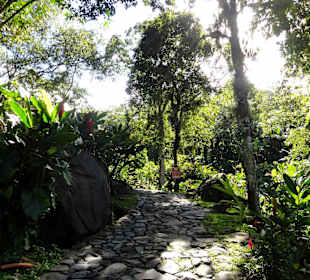 Weg zu den Farmhäusern