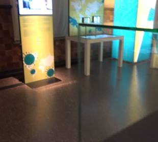 Museum für Naturkunde