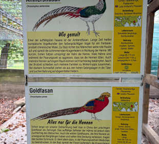 Alsdorf Zoo