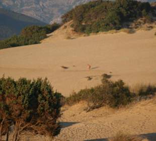 Le dune