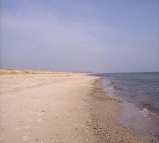 Strand in Schönhagen