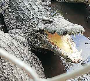 Stadtrundgang Varadero