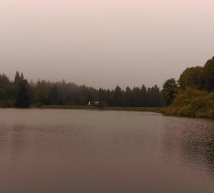 Kranichensee, im Zentrum Hahnenklee-Bockswiese