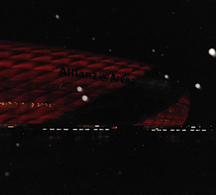 Allinaz Arena München