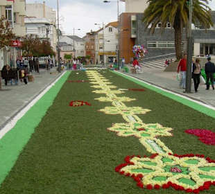 Alfombras florales Burela