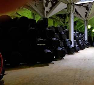 Sherry Bodega in Jerez