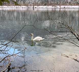 Wandern Krün