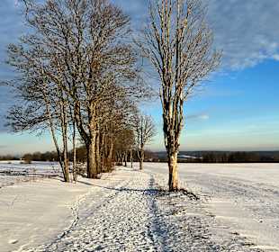 Wandern Bad Steben