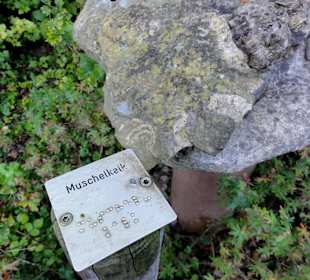 Exponate des Blindengartens