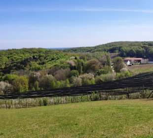 Blichrichtung Obsthof Zotter