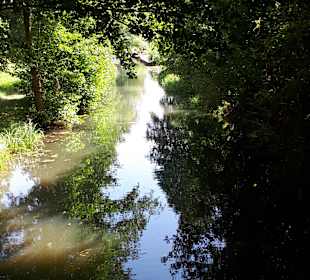 In der nahen Umgebung