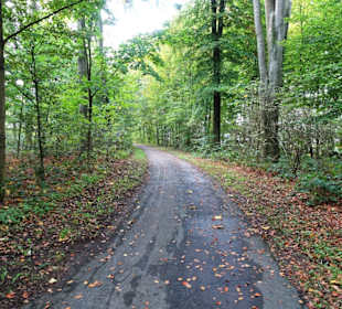 Weg zur Park-Villa im Stadtpark Versmold
