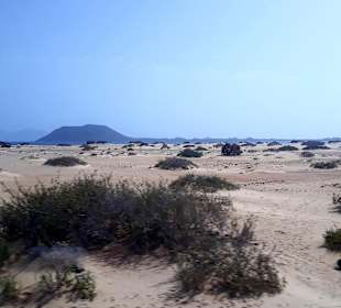 Inselrundfahrt Tagesausflug