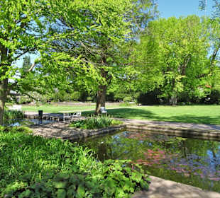 Eindrücke vom Spaziergang durch den Stadtpark