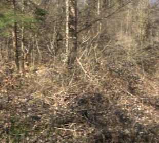 Historischer Rundwanderweg Aichtal