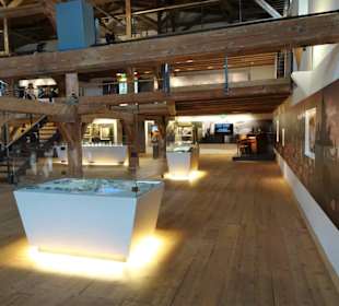 Rundgang durch das Museum der Brauerei Stiegl