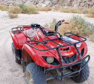 Quad Tour Safaga	