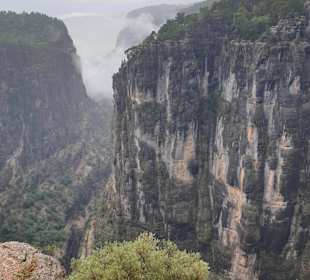 Blick auf den Canyon