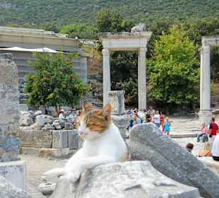 Antike Stadt Ephesus