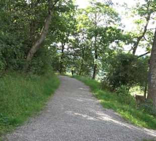 Themenweg Kaiserweg Zimmern