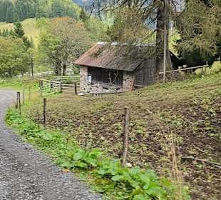 Zum Plöckenhaus  hin