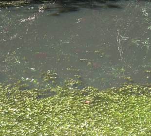 Wanderweg - Alter Steinbruch Pfaffenberg Runde